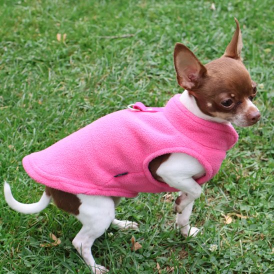 Manteau chien Fleece pomeranien rose