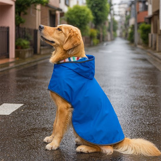Manteau chien Impermeable bleu