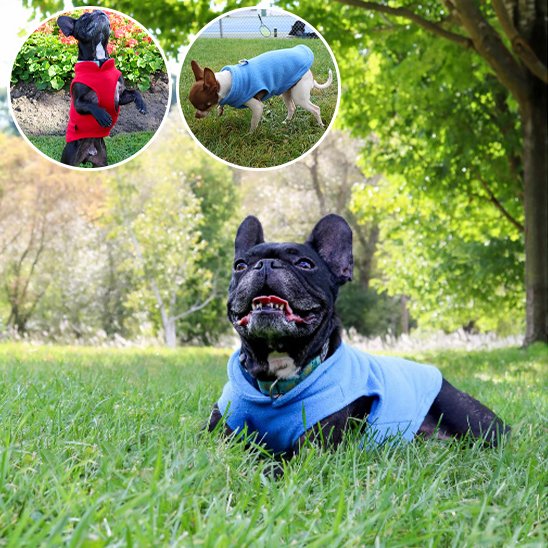 Manteau chien produit Fleece bleu