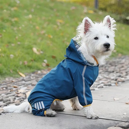 Manteau petit chien Sentier Zen Bleu