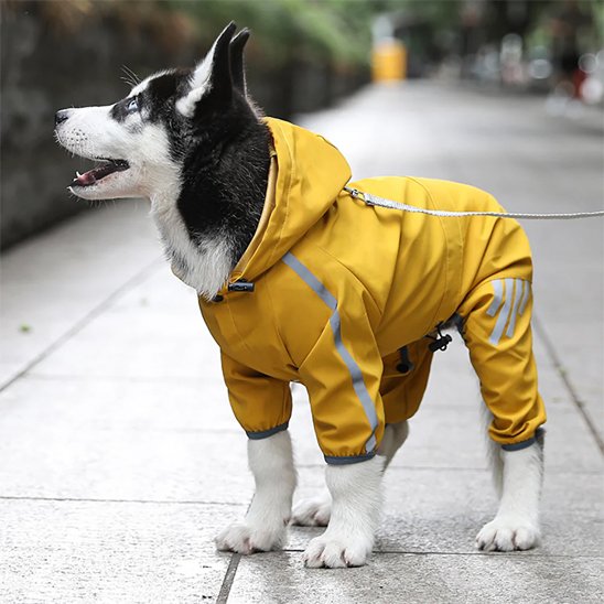 Manteau petit chien Sentier Zen Jaune