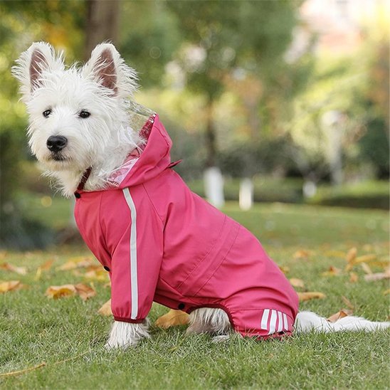 Manteau petit chien Sentier Zen Rose