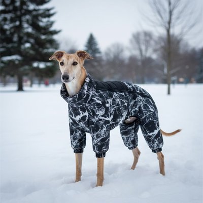 Manteau pour chien chaud noir pincher