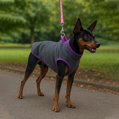 Manteau pour Chien confo-zen gris