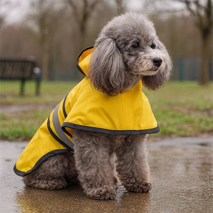 Manteau pour chien impermeable rayé jaune caniche