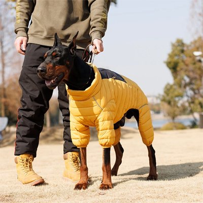 Manteau pour Chien Jaune