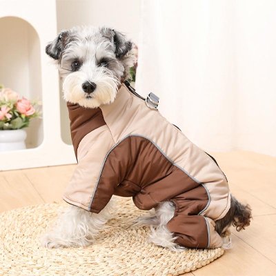 Manteau pour Chien promenade cafe