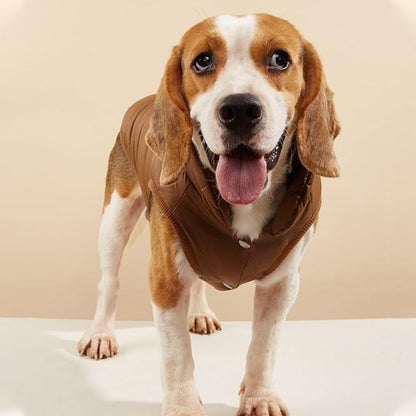 Manteau pour petit chien bleu marin