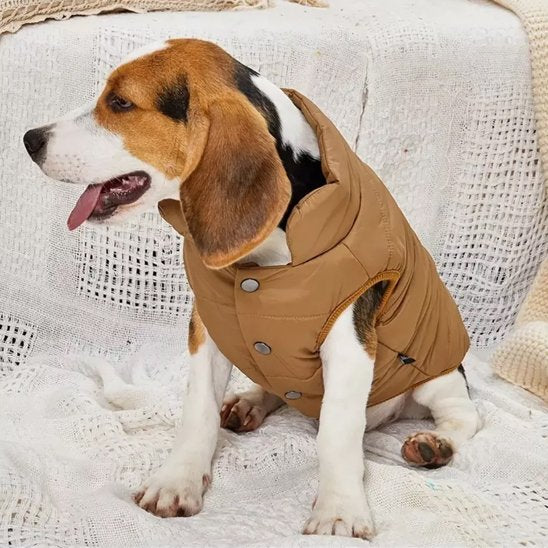 Manteau pour petit chien cafe
