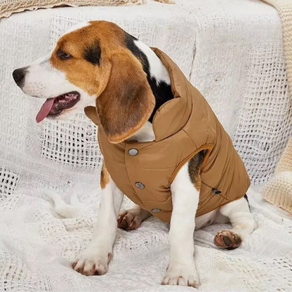 Manteau pour petit chien cafe