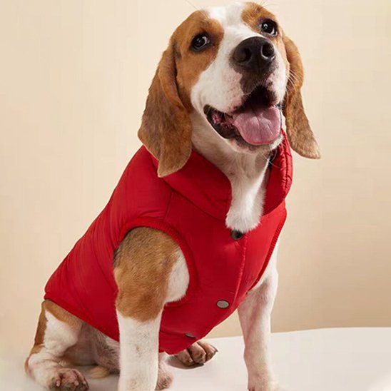Manteau pour petit chien rouge