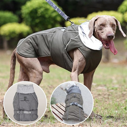 Manteaux pour chien Rando Chic gris