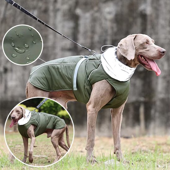 Manteaux pour chien Rando Chic gris produit
