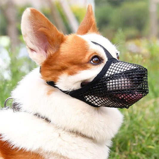 Muselière chien maille zen corgie