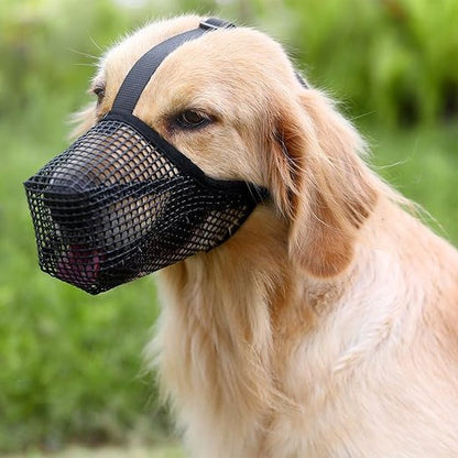 Muselière chien maille zen golden randonnee