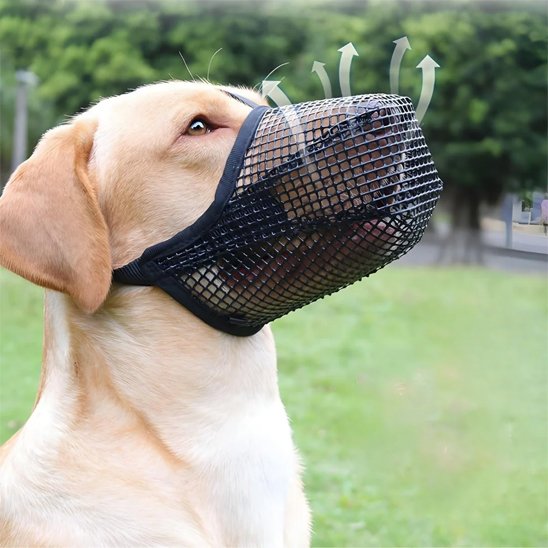 Muselière chien maille zen labrador