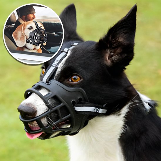 Muselière chien panierzen