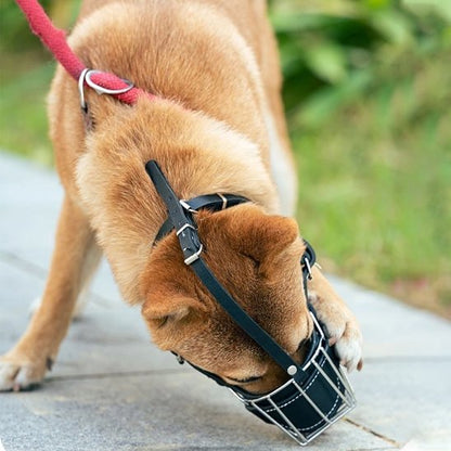Muselière pour chien Akita mastodonte zen produit