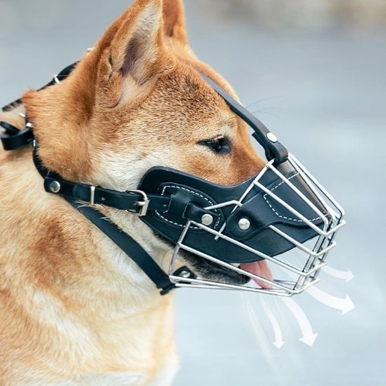 Muselière pour chien Akita mastodonte zen 
