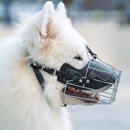 Muselière pour chien malamute mastodonte zen produit