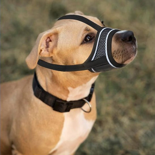 Muselière pour chien musolibre