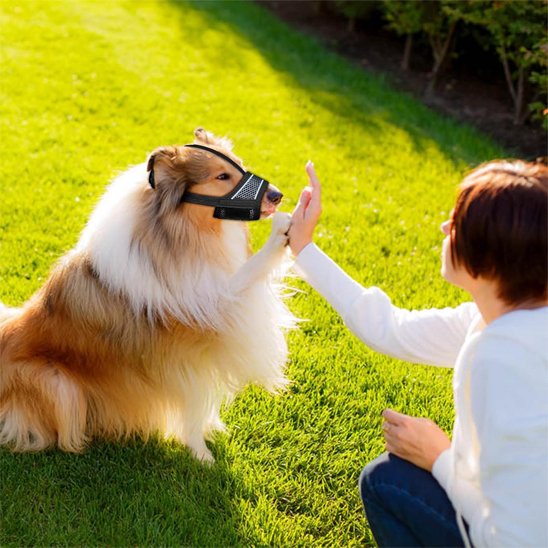 Muselière pour chien musolibre