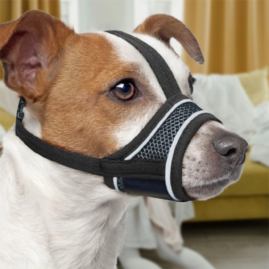 Muselière pour chien musolibre