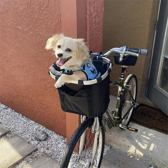 Panier velo chien beige dans panier