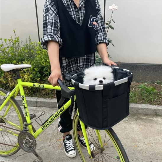 Panier velo chien caniche a velo