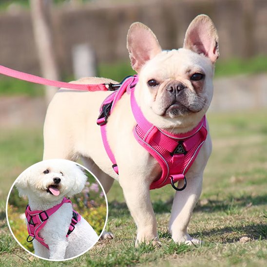 Harnais pour chien | Le mini Zen™