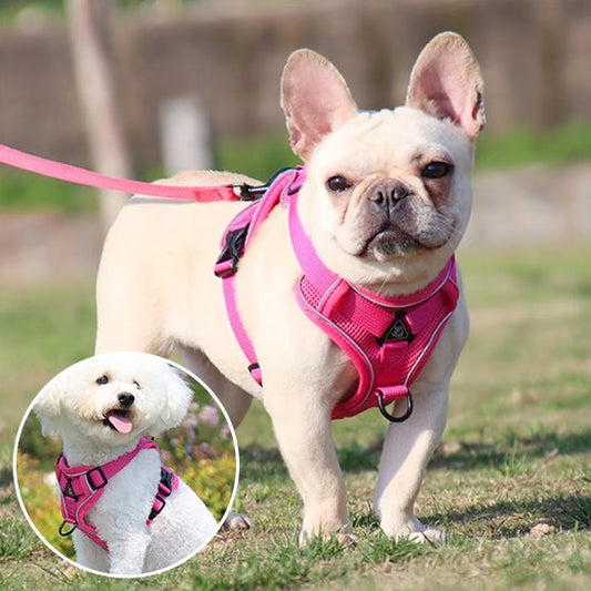 Harnais pour chien | Le mini Zen™