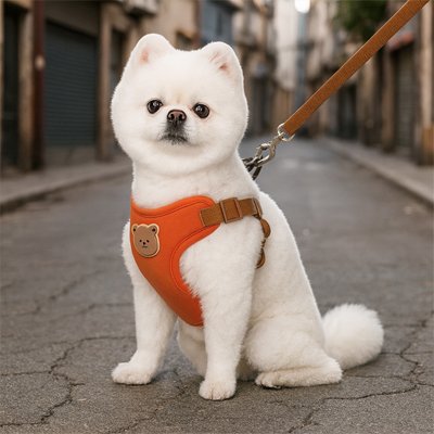 Harnais pour petit Chien | Le Confo-Zen™