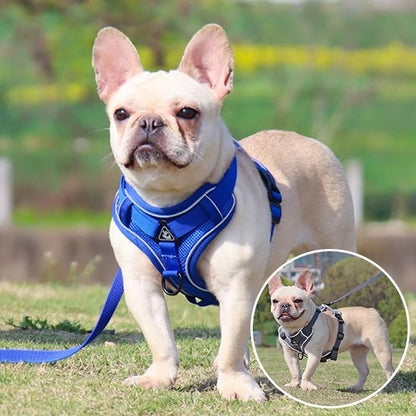 Harnais pour chien | Le mini Zen™