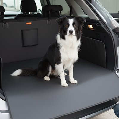 Protection chien voiture confort