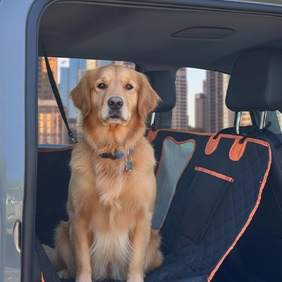 Protection chien voiture protection