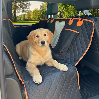 Protection chien voiture serenite