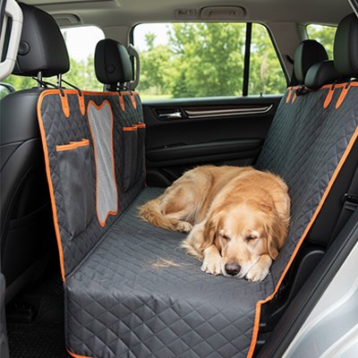 Protection chien voiture zen