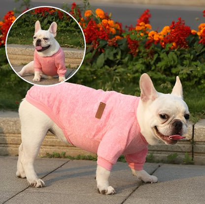 Pull chien chaud chine produit rose