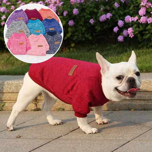 Pull chien chaud chine produits variante 