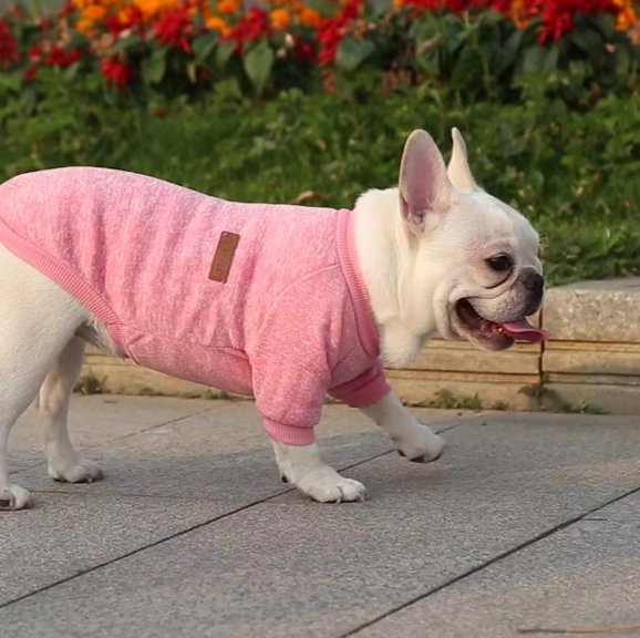 Pull chien chaud chine rose