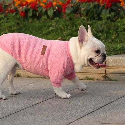 Pull chien chaud chine rose