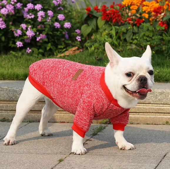 Pull chien chaud chine rouge