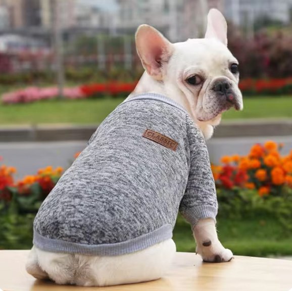 Pull chien chaud chine
