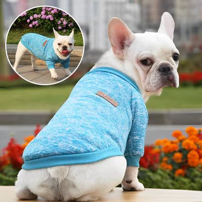 Pull chien chien chine produit turquoise
