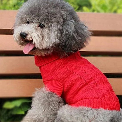 Pull pour chien doux rouge parc