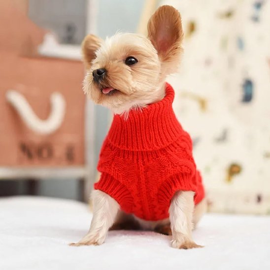 Pull pour chien doux rouge