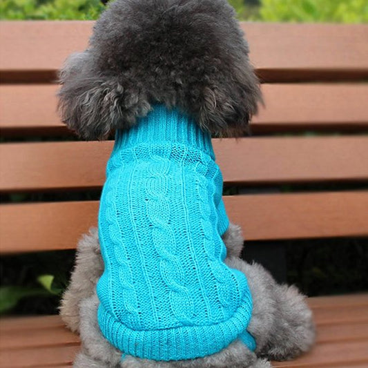 Pull pour chien doux turquoise
