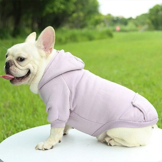 Pull pour chien hoodog lavande