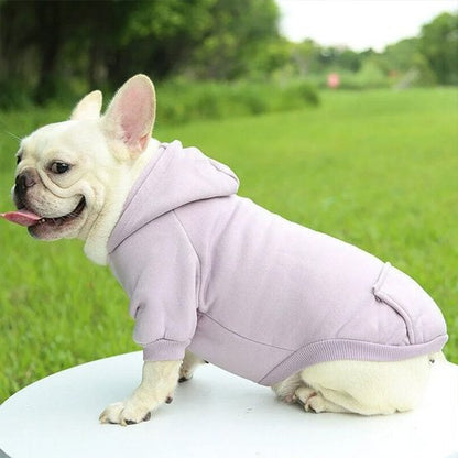 Pull pour chien hoodog lavande