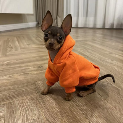 Pull pour chien hoodog orange